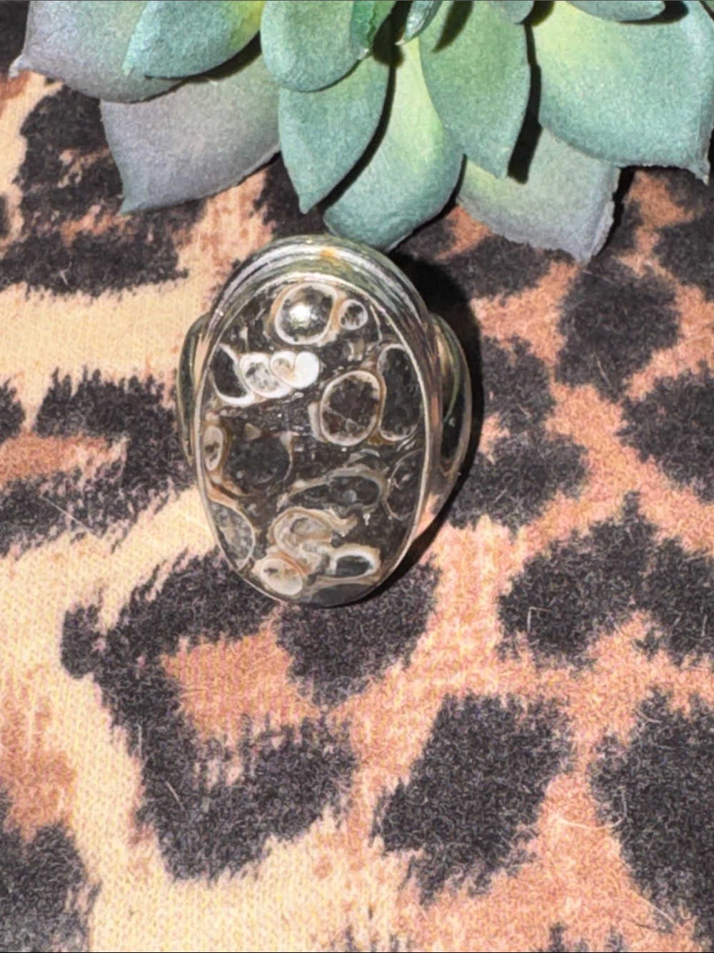 Turitella Jasper Silver Ring